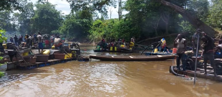 Hundreds of men are illegally prospecting for gold in rivers near Taї National Park Gold prospectors on a river in Côte d’Ivoire