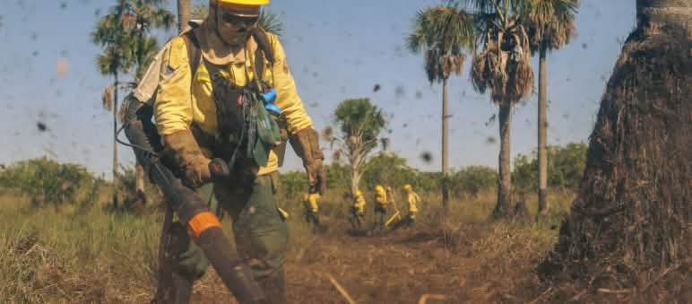 A person wearing protective clothing uses a portable blower to create a firebreak