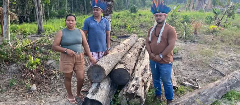 An Indigenous woman and two men wearing feather headdresses stand beside five tree trunks that have been cut down