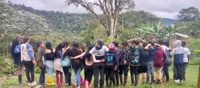 About twenty young people lined up in a row look out over the rainforest of Los Cedros