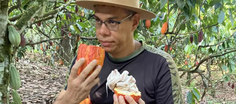 A man smells a cut cocoa pod in the rainforest