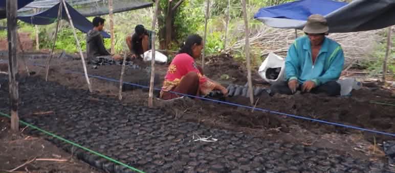 Preparing bags of rich soil for seedlings Volunteers fill bags with soil that will be used for planting tree seedlings