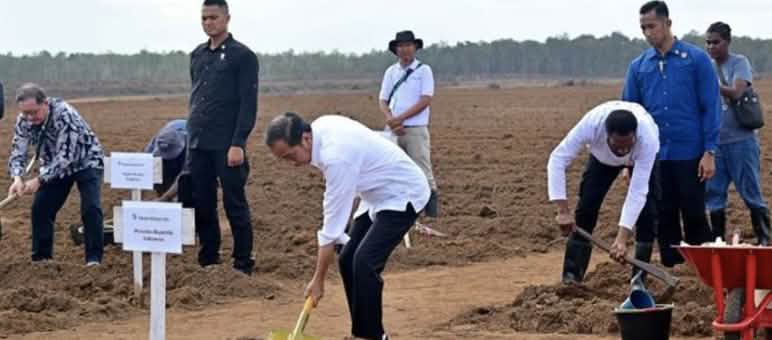 Men with shovels on a bare field
