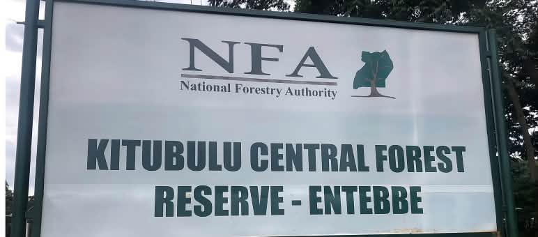 Sign with "Kitubulu Central Forest Reserve - Entebbe"