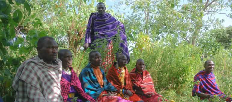 A group of colorfully dressed Maasai men sitting in the grass
