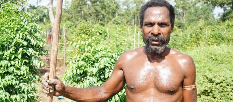 The last paradise on Earth is being destroyed for pulp and paper, palm oil and gold. Papua man from the Gebze clan, Merauke, Indonesia