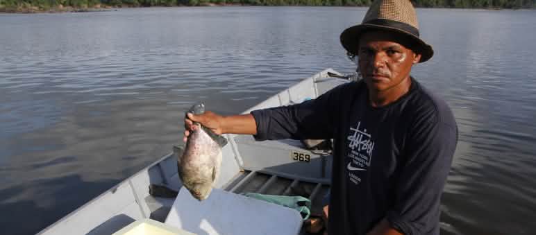 Fisher on the Xingu river