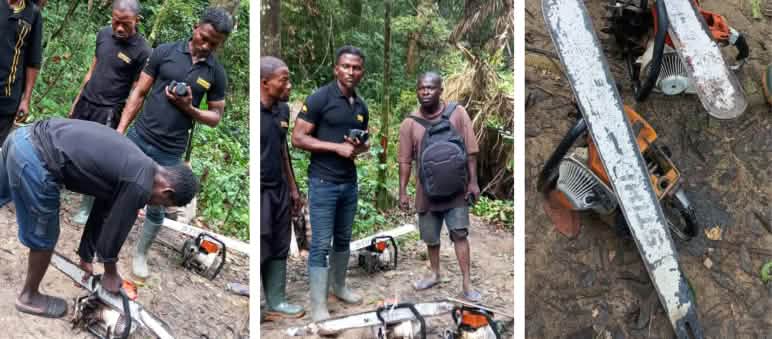 Eco-guards confiscate chainsaws
