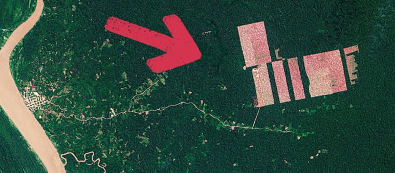 Satellite image of the cocoa plantations cut into the rainforest to the east of the Amazon Satellite image of deforestation – Tamshiyacu, Peru
