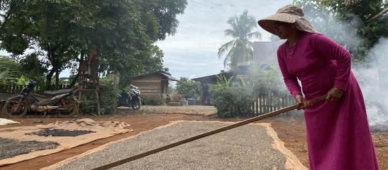 Peppercorns are spread out on large mats and dried.