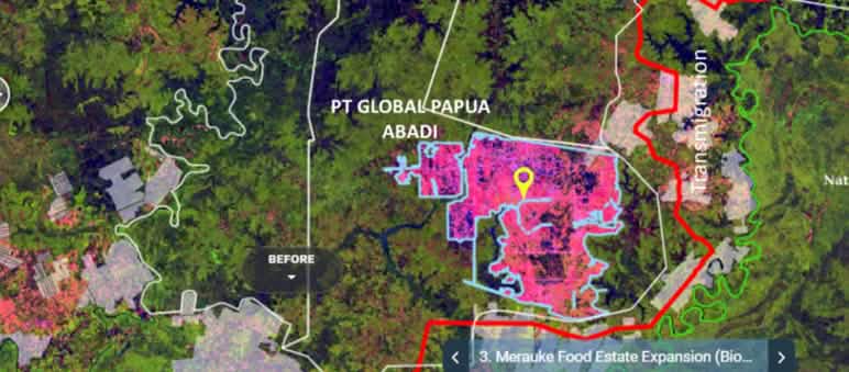 Satellite image showing concession of PT Global Papua Abadi