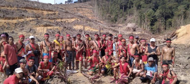 Indigenous Dayak on clear-cutting