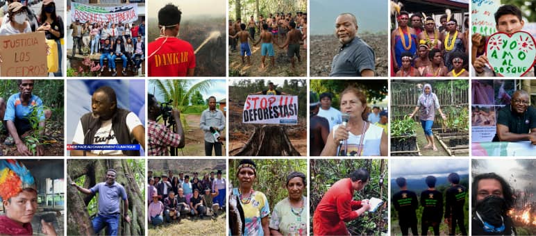 Collage: a selection of Rainforest Rescue partners