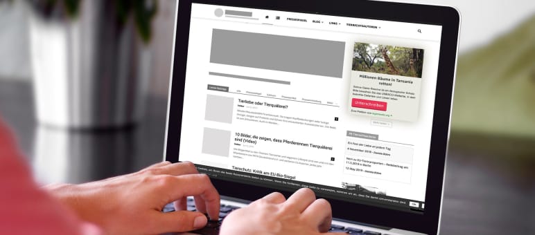 Help us get the word out on your website Computer screen with a generic website showing the integrated petition widget