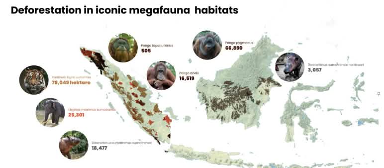Map of Sumatra and Borneo showing areas of deforestation