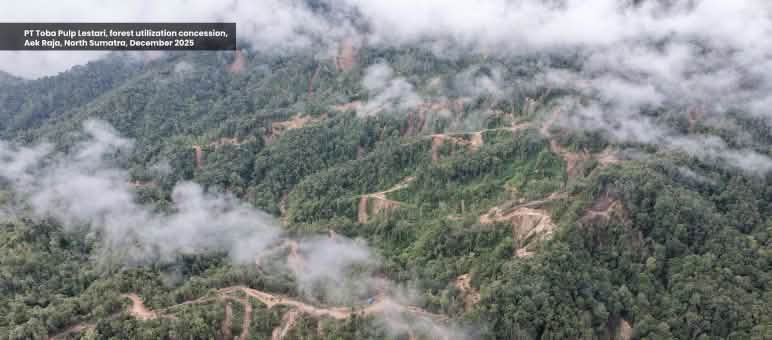 Aerial view of deforestation in a mountainous region