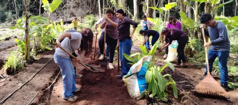 A group of people is preparing the soil in the rainforest for planting fruit trees