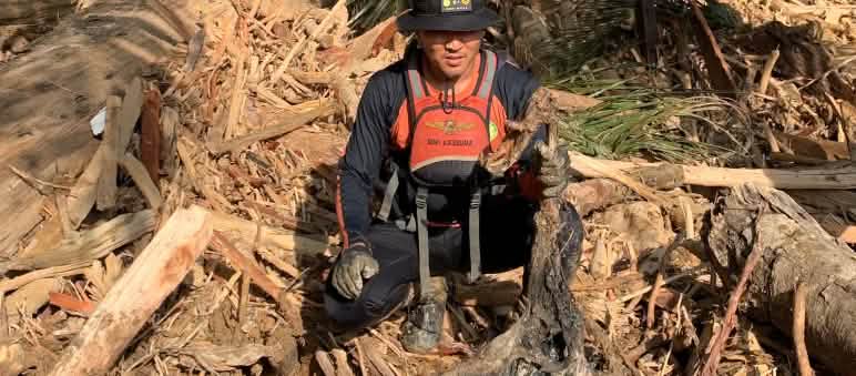 The body of an orangutan with a man from the disaster relief team