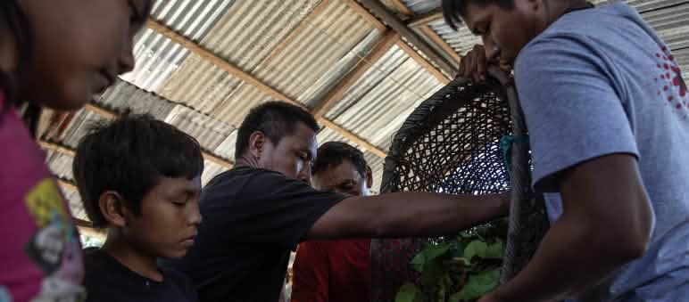 Several people pour plant material from a basket