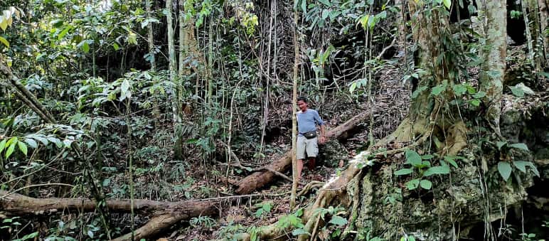 Man in the forest