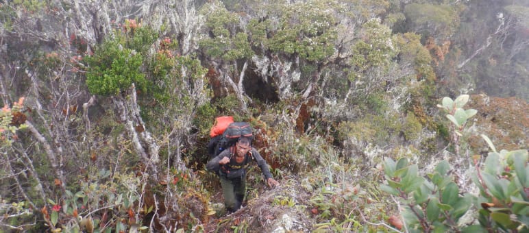 A ranger with a backpack in rugged terrain