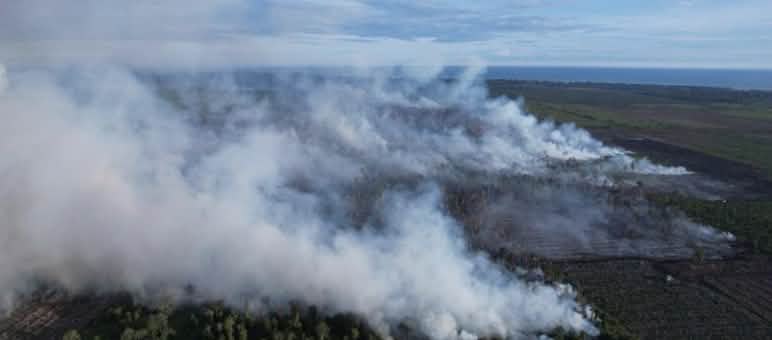 Smoke rising from a peat swamp fire