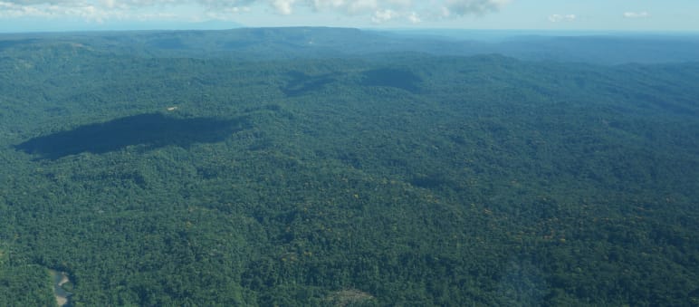 The officially recognized territory of the Sápara is one and a half times the area of Greater London. Aerial view of the Sapara rainforest from a small plane