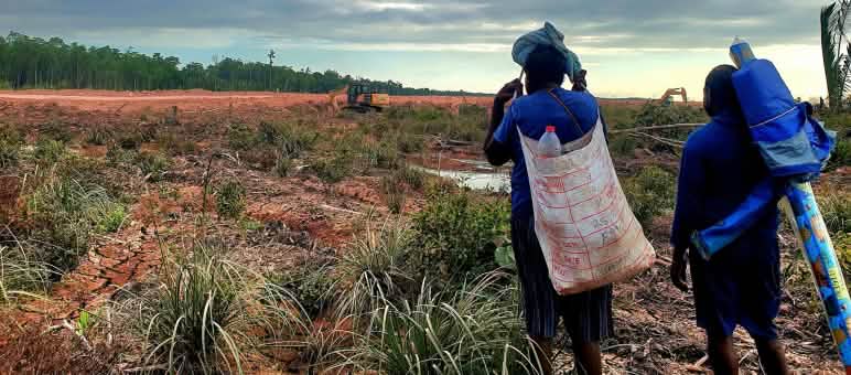 Two men looking from a distance at a clearing for a road