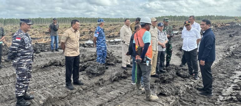 Clear-cutting under military protection: the Merauke PSN sugar and bioethanol project Officials and military personnel on clear-cut land