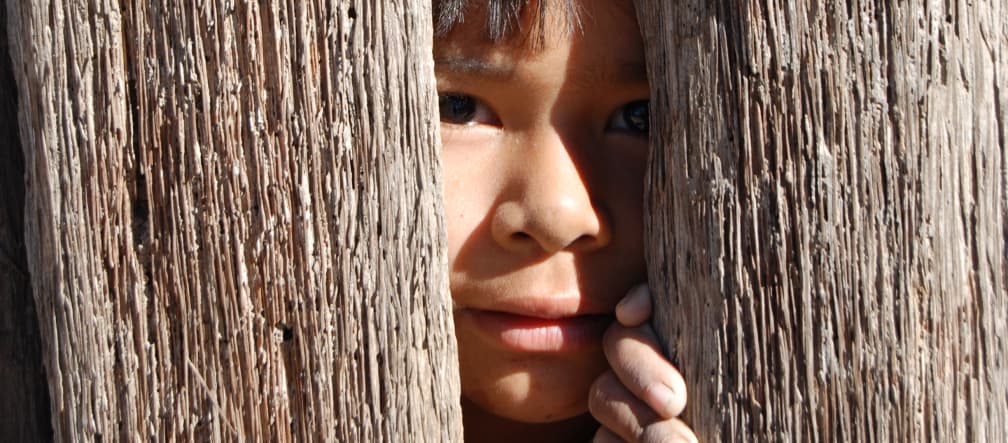A child peeking through two wooden planks