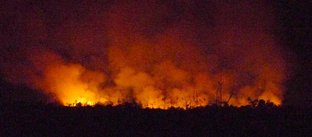 Night shot of forest fire with embers and smoke