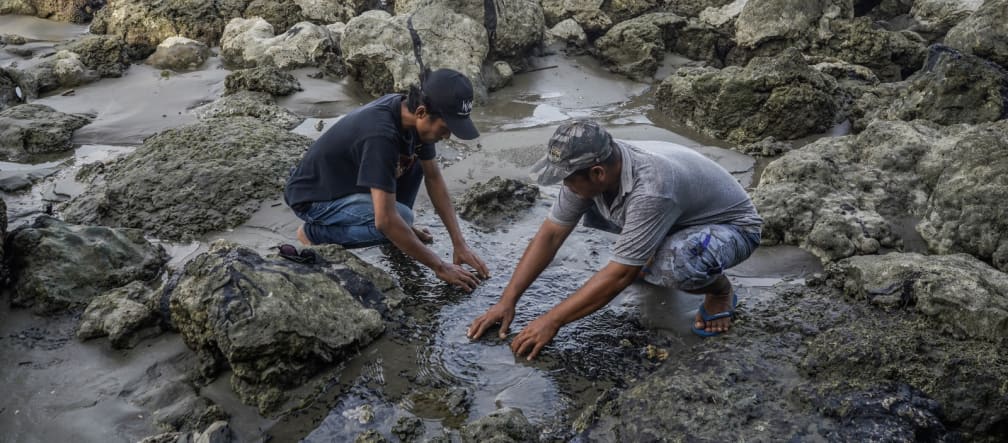 Two men working on the bitumen-polluted coast