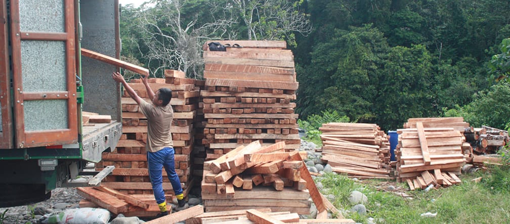 Balsa wood being loaded into a truck