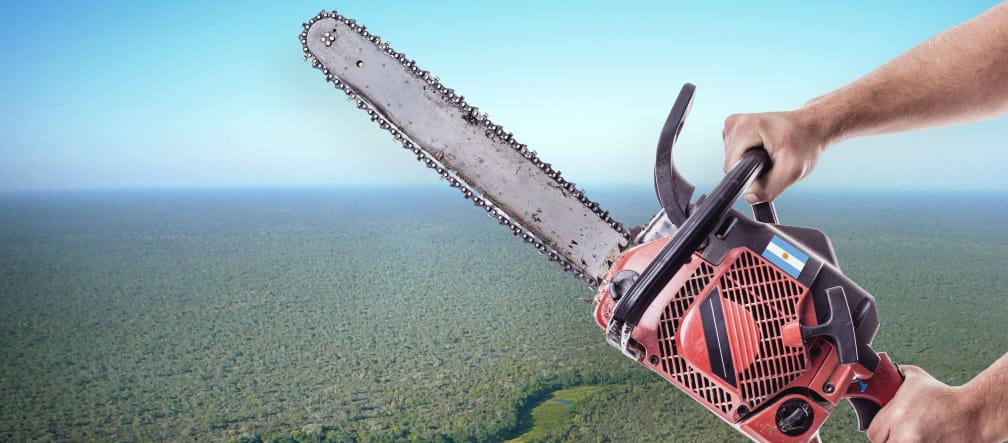 Photomontage: A chainsaw before an aerial view of the Chaco forest