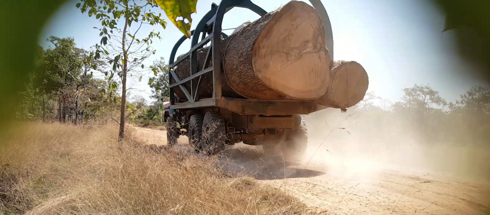 Trucks smuggle illegal timber out of Cambodia. Timber truck in Cambodia