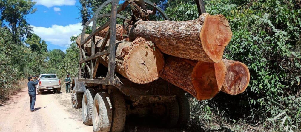 Illegal logging in Cambodia Illegal logging in Cambodia