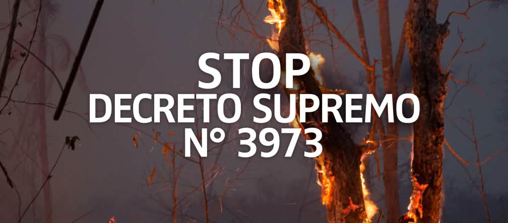 Forest burning in Bolivia