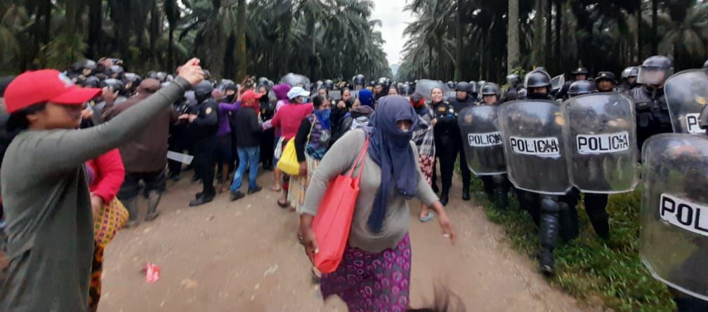 A group of Maya protests on the left of the image, while police in riot gear advance under oil palms on the right