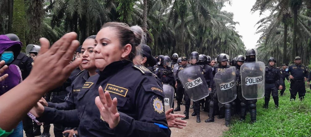 A large group of police in riot gear advance on a dirt road in an oil palm plantation