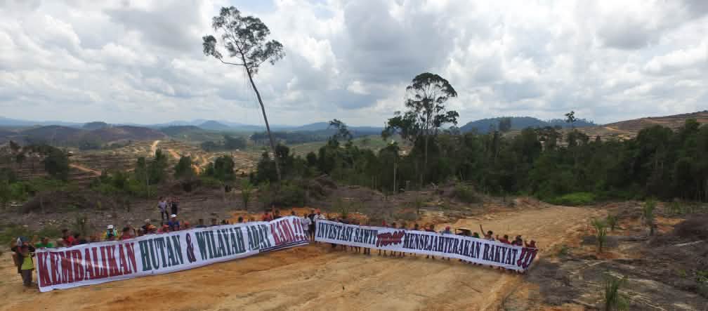 Protesters in Borneo speak out against palm oil plantations Protesting against oil palm plantations in Borneo