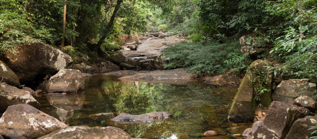Boulder-lined watercourse surrounded by tropical forest
