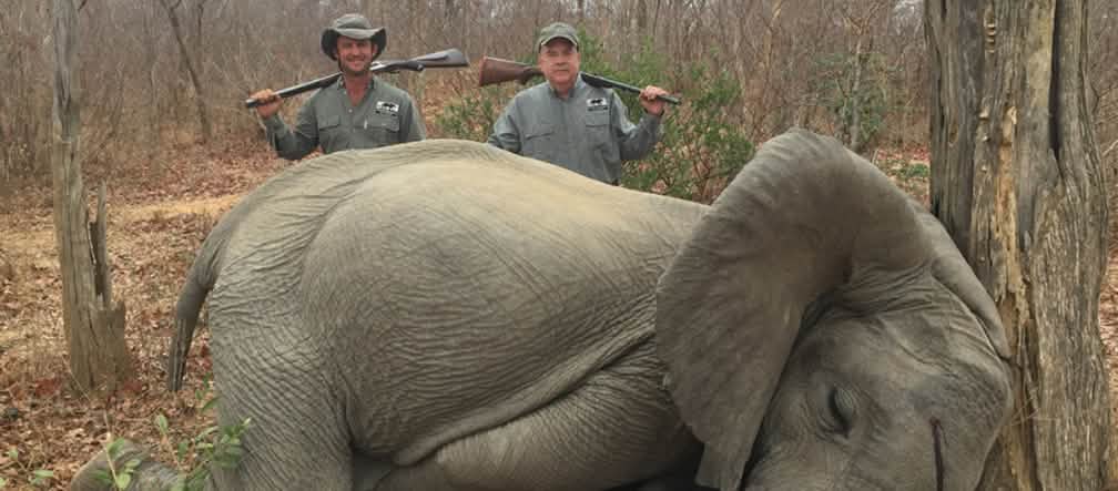 Elephant hunters in Zimbabwe