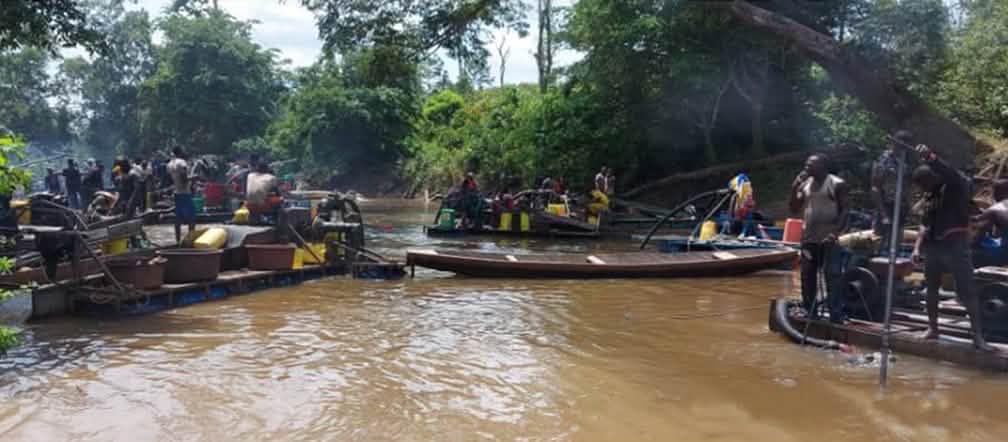 Hundreds of men are illegally prospecting for gold in rivers near Taї National Park Gold prospectors on a river in Côte d’Ivoire