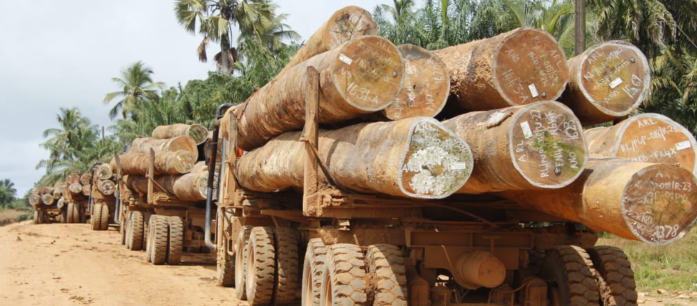 Logging in Liberia Truck loaded with logs in Liberia