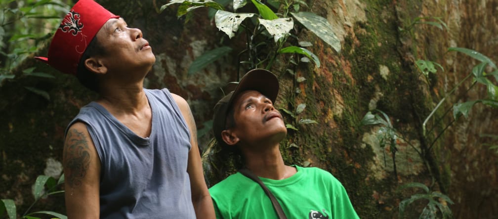 Indigenous Dayak Tomun in Kinipan forest