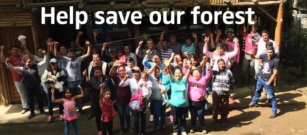People protesting with raised fists. Text "Help save our forest"