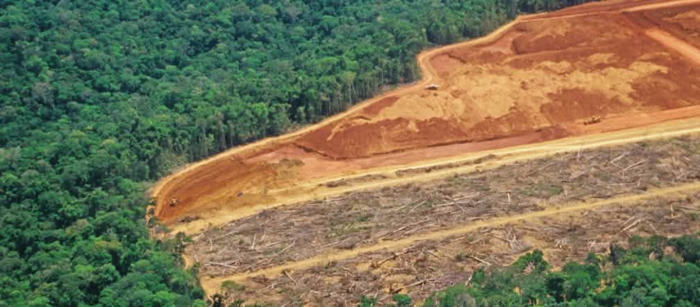 Deforestation in Brazil