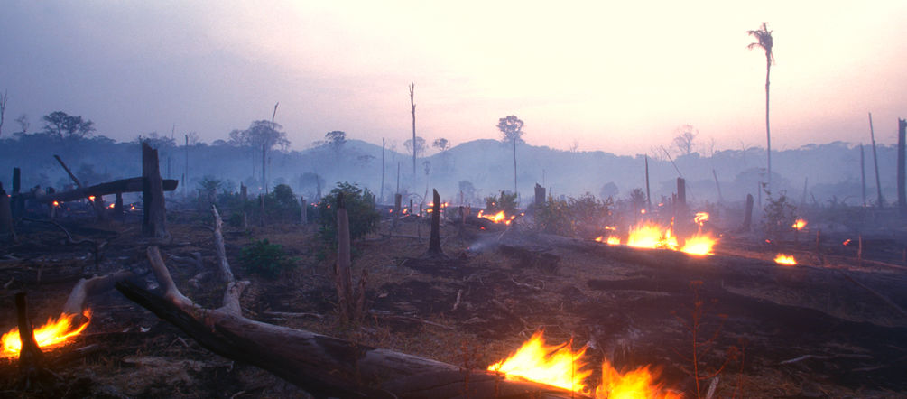 Slash and burn in Brazil