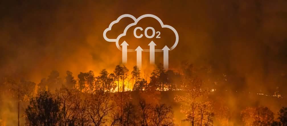 Wildfires and slash-and-burn clearing are driving the global climate crisis