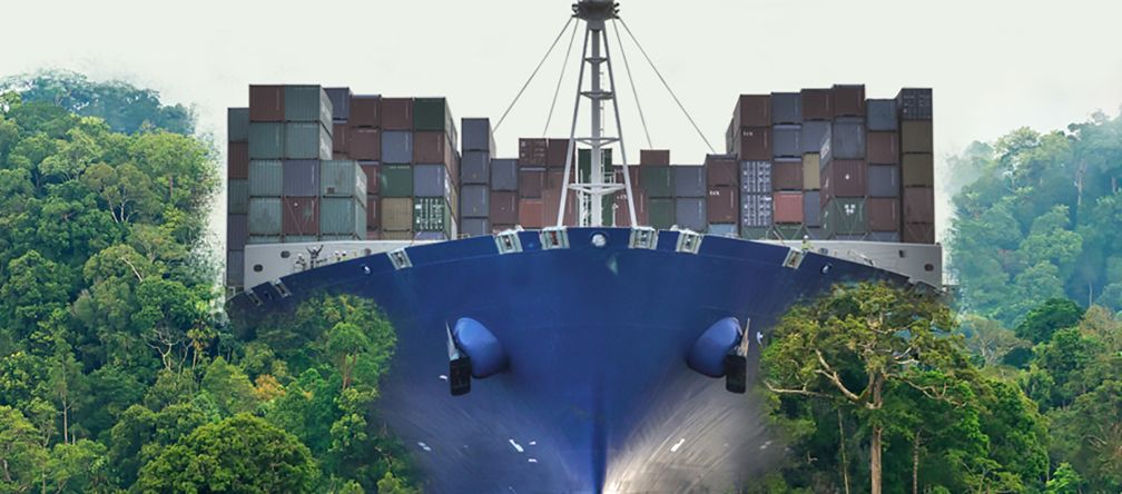 A container ship plowing through the rainforest